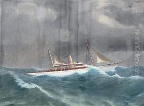 The Steam Yacht 
Beryl 
 Riding The Ocean Swell Oil Painting by Antonio de Simone