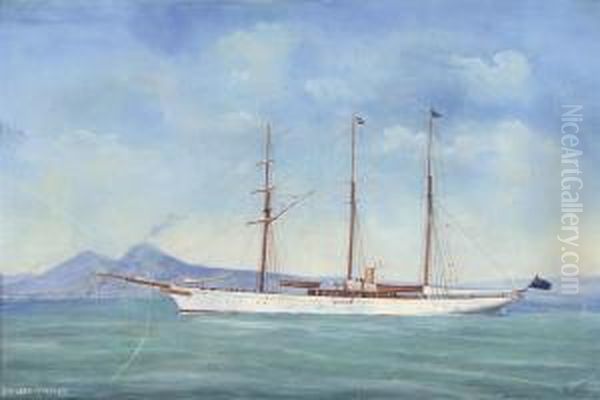 The Steam Yacht 
Lady Torfrida Oil Painting by Antonio de Simone