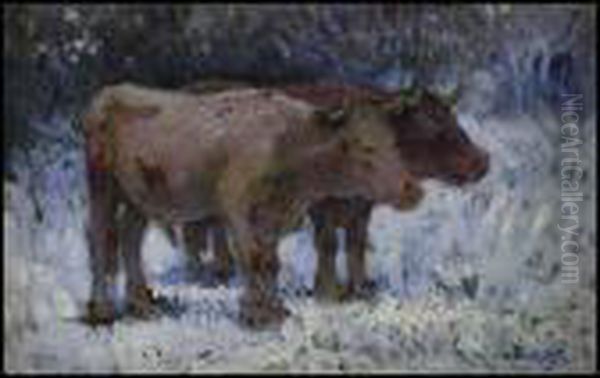 Boufs A La Brunante Oil Painting by Marc Aurele de Roy Suzor-Cote