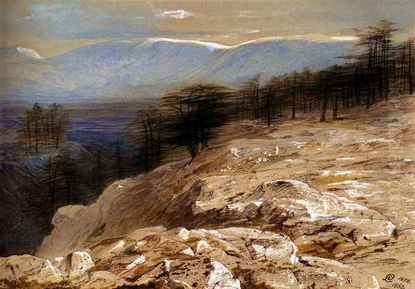 The Cedars Of Lebanon Oil Painting by Edward Lear