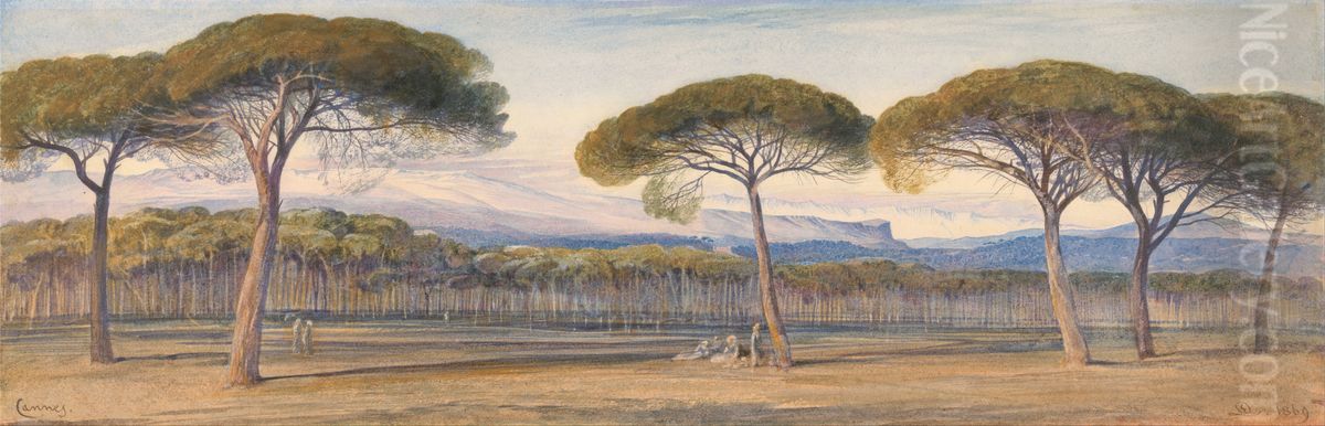 A View of the Pine Woods Above Cannes Oil Painting by Edward Lear
