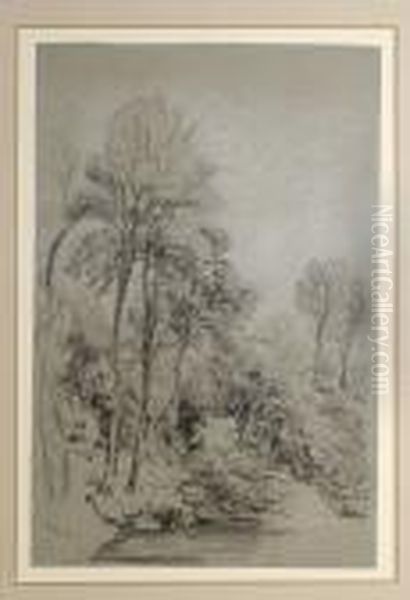 Trees By A Pool Oil Painting by Peter de Wint