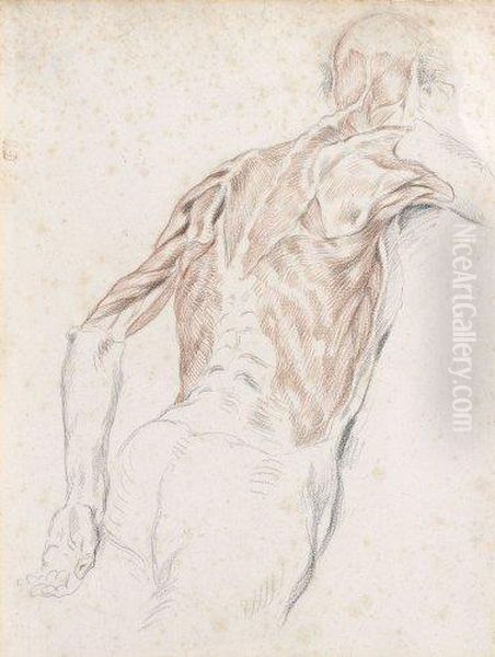 Etude D'ecorche Oil Painting by Eugene Delacroix