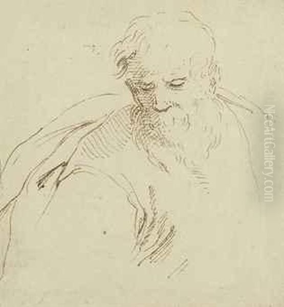 Head Of A Bearded Man Oil Painting by Stefano della Bella