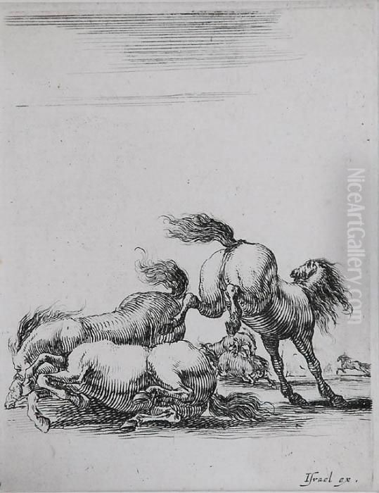 Wzburzone Konie Oil Painting by Stefano della Bella