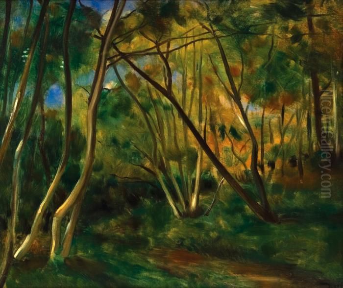 Sous - Bouis En Provence Oil Painting by Andre Derain