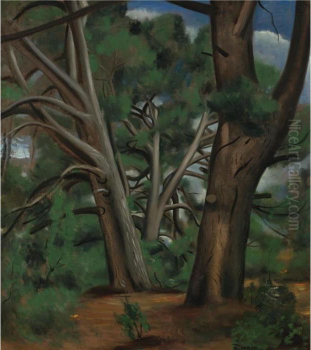 Sous-bois Aux Environs De Saint-remy-de-provence Oil Painting by Andre Derain