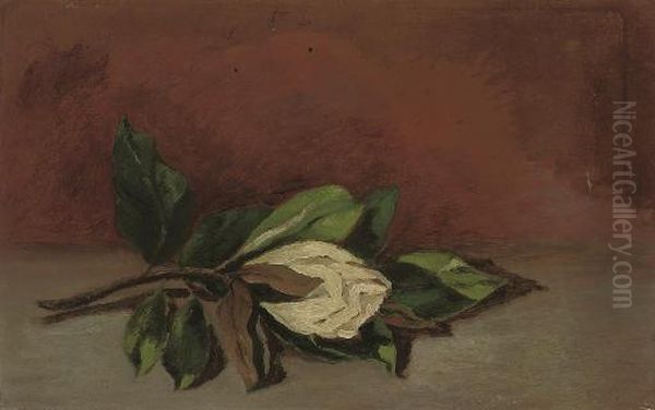 Magnolia Oil Painting by Andre Derain
