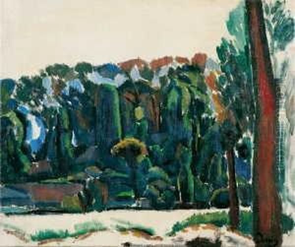 Environs De Carrieres-sur-seine Oil Painting by Andre Derain