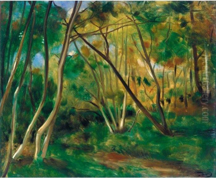 Sous Bois Oil Painting by Andre Derain