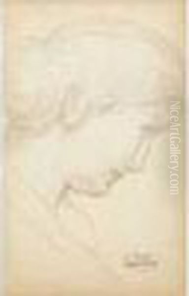 Portrait De Jeune Femme De Profil. Oil Painting by Andre Derain