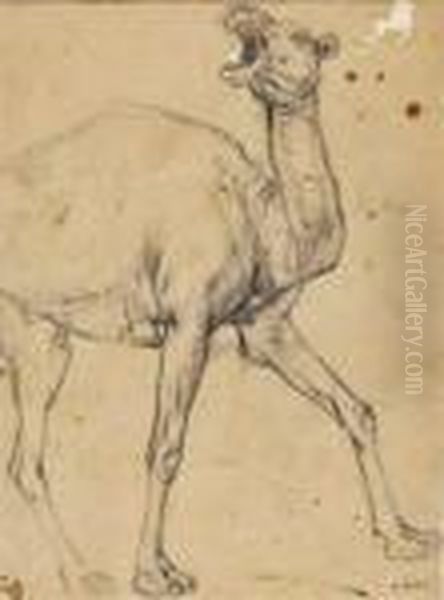 Dromadaire Oil Painting by Alphonse Etienne Dinet