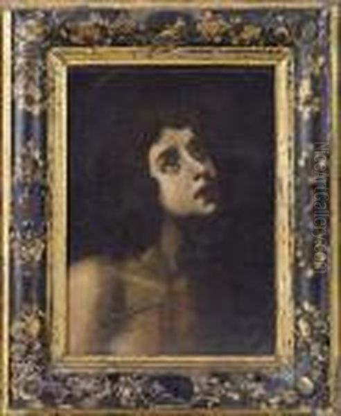 San Sebastiano Oil Painting by Carlo Dolci