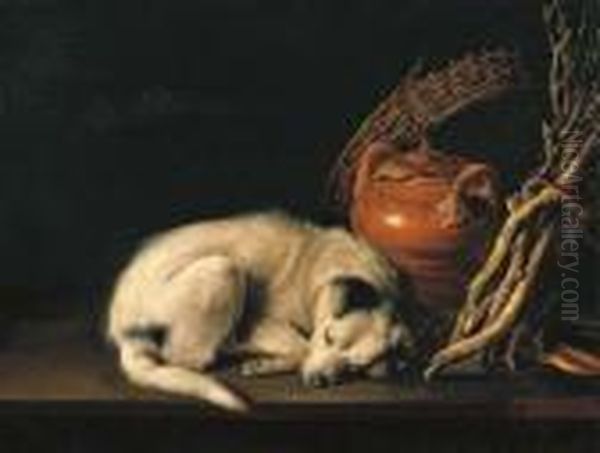 A Sleeping Dog Beside A 
Terracotta Jug, A Basket, A Pair Of Clogsand A Pile Of Kindling Wood Oil Painting by Gerrit Dou