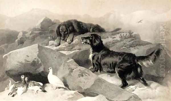 The ptarmigan hill Oil Painting by Sir Edwin Henry Landseer