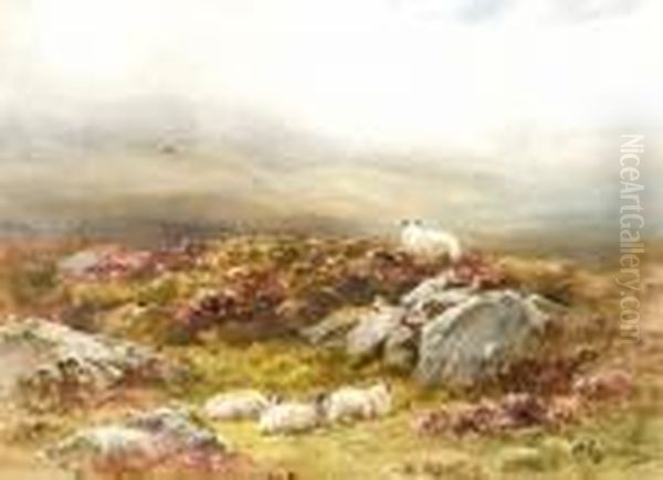Mountain Sheep 
Perthshire Oil Painting by Wycliffe Egginton