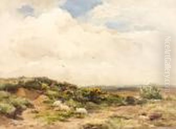 Sheep On The Moor Oil Painting by Wycliffe Egginton