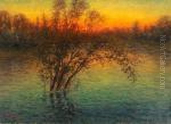 Oversvammat Kustlandskap I Aftonrodnad Oil Painting by Per Ekstrom