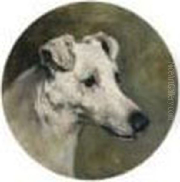 A Fox Terrier Oil Painting by John Emms