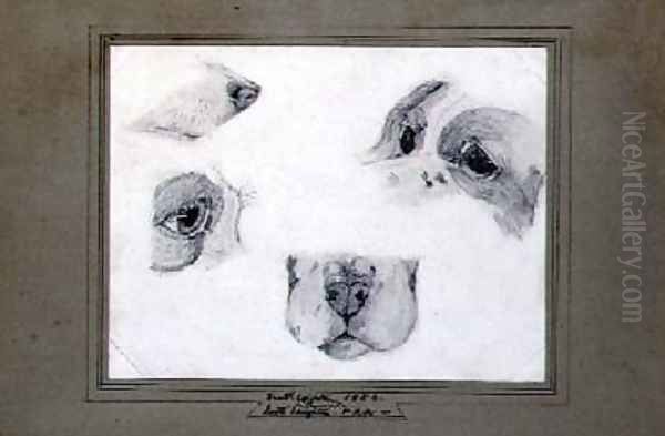 Studies of the Artists Dog Oil Painting by Lord Frederick Leighton