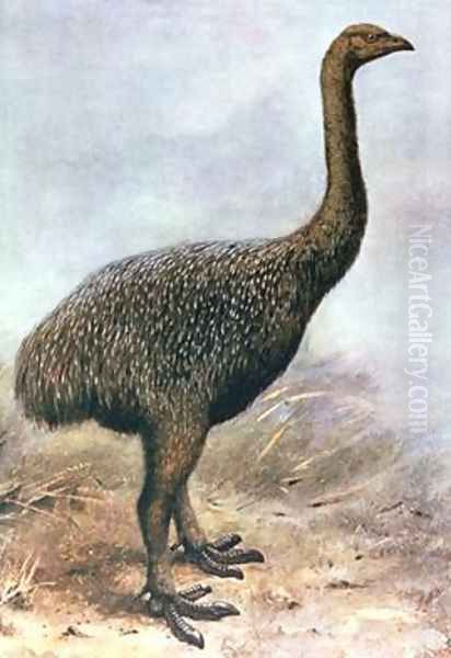 Lesser Megalapteryx Oil Painting by Lodge, George Edward