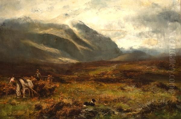 Among The Brackens Oil Painting by David Farquharson