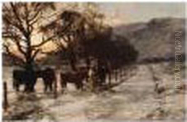 R.a. , Highland Cattle In The 
Snow, Strengthened Signature, Oil On Board, 21 X 31 Cm.; 8 1/4 X 12 In Oil Painting by David Farquharson