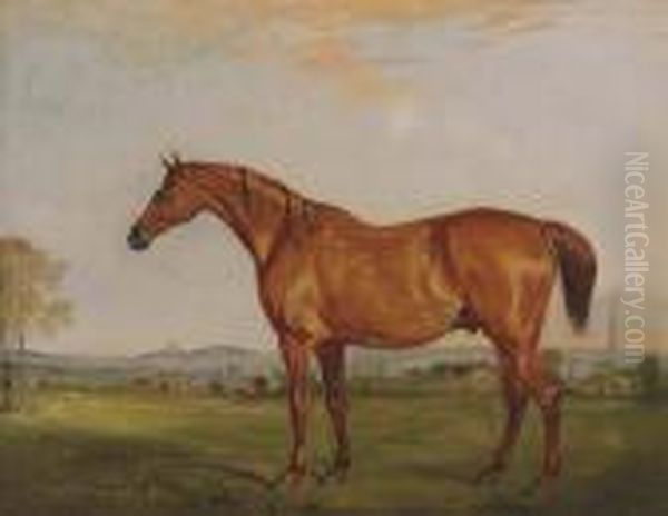 Shamrock, The Chestnut Hunter Of
 The Rev. Charles Thornton, Belvoircastle In The Distance Oil Painting by John Snr Ferneley