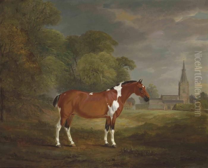 Pat, A Skewbald Cob Belonging To
 Colonel John Frewen Turner, Of Cold Overton Hall, Leicestershire Oil Painting by John Snr Ferneley