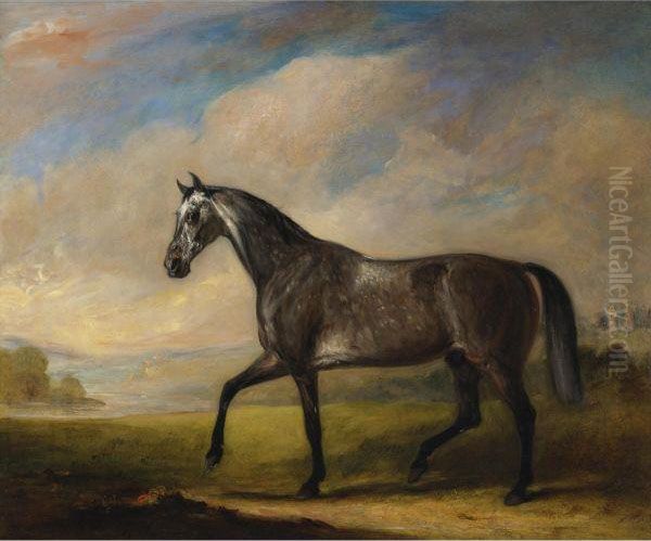 A Dappled Grey Horse In An Extensive Landscape Oil Painting by John Snr Ferneley