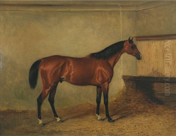 Melton Mowbray, A Bay Hunter In A
 Stable, The Property Of Henry George Herbert, 7th Earl Of Carnarvon Oil Painting by John Snr Ferneley