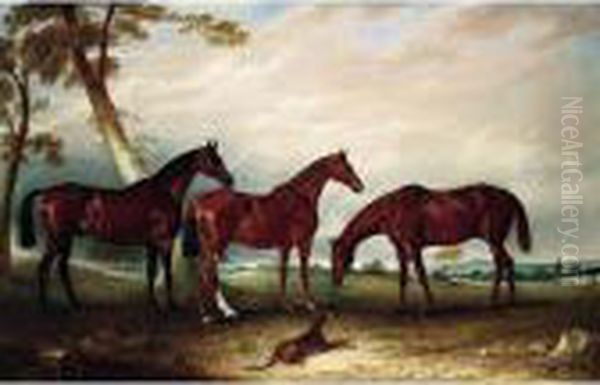 Marvel, Kingfisher And The Lad, 
Three Hunters Belonging To William Angerstein, In A Field With His Dog 
Spring Oil Painting by John Snr Ferneley