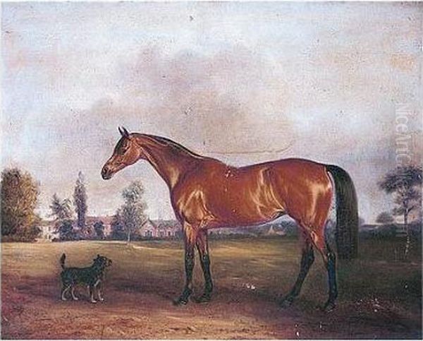 Epsom, A Favourite Hunter 
Belonging To Lady Eleanor Cecily Clifton Of Lytham Hall, Lancashire Oil Painting by John Snr Ferneley