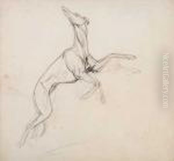Study Of A Leaping Greyhound Oil Painting by Jean-Leon Gerome