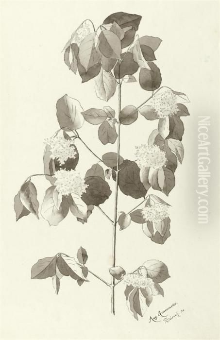 Flowering Lilac Branch Oil Painting by Augusto Giacometti