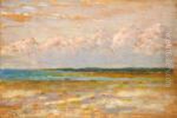 Marina Di Pisa Oil Painting by Francesco Gioli