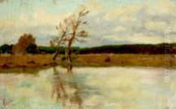 Pineta Nei Pressi Di Livorno Oil Painting by Francesco Gioli