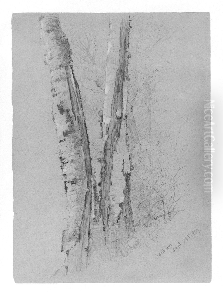 Study of Birch Trunks (Scribners') Oil Painting by Jervis McEntee