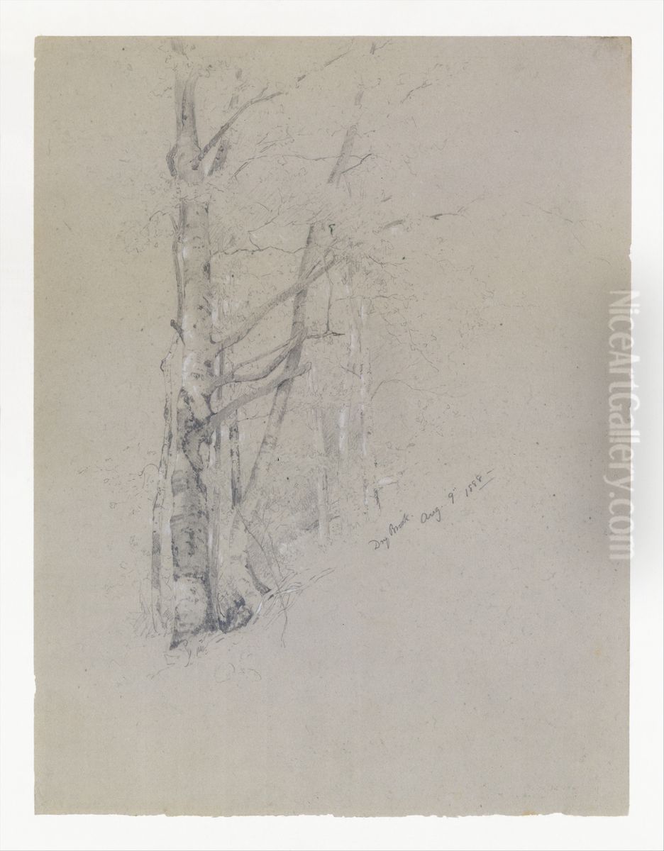 Dry Brook Oil Painting by Jervis McEntee