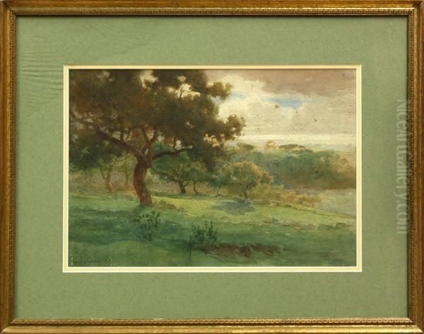 California Oak Oil Painting by Percy Gray