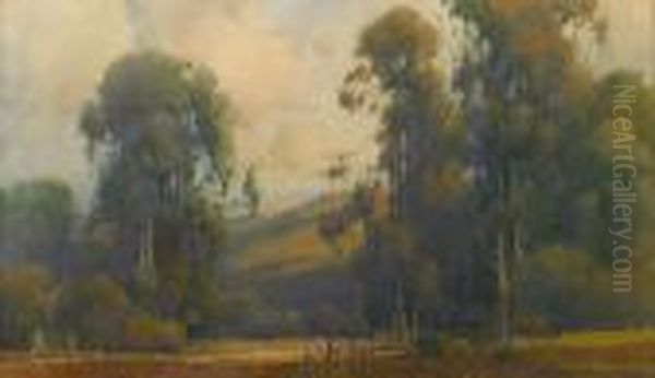 Eucalyptus Trees, Marin County Oil Painting by Percy Gray