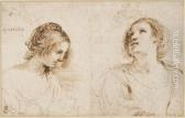 Deux Etudes De Femmes En Buste Oil Painting by Giovanni Francesco Barbieri