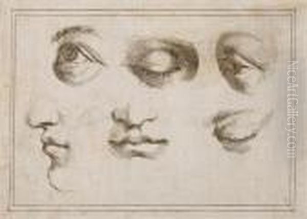 Studies Of Eyes And Mouths Oil Painting by Giovanni Francesco Barbieri