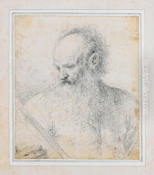 Study Of Saint Matthew Turned To His Right Oil Painting by Giovanni Francesco Barbieri