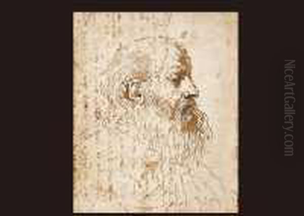Study Of The Head Of A Beard Man In Profile To The Right Oil Painting by Giovanni Francesco Barbieri