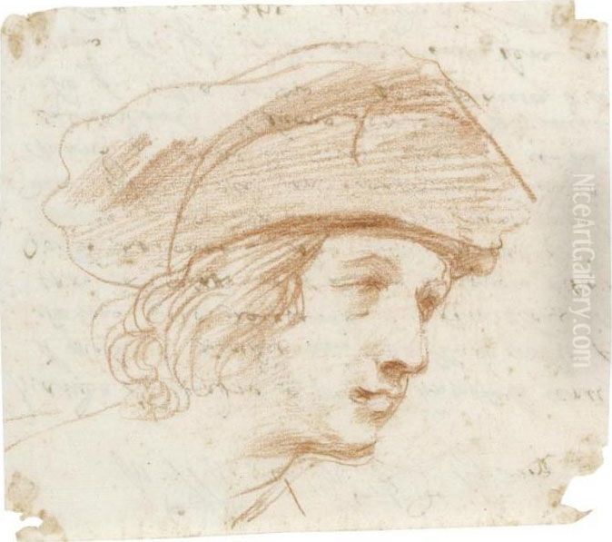 Head Of A Young Man, Almost In Profile, Wearing A Hat Oil Painting by Giovanni Francesco Barbieri