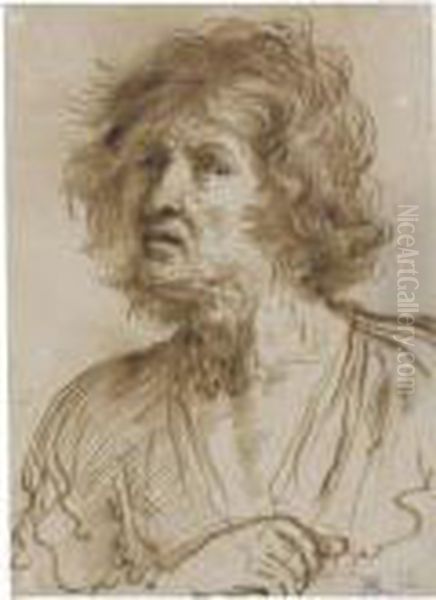 Study Of The Head Of A Dishevelled Man Oil Painting by Giovanni Francesco Barbieri
