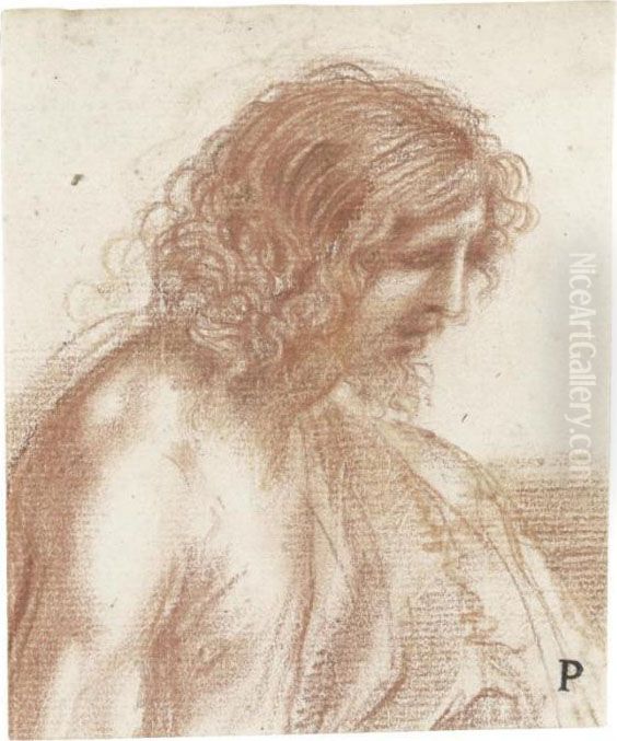Study For A Figure Of St. John The Baptist, Head Andshoulders Oil Painting by Giovanni Francesco Barbieri