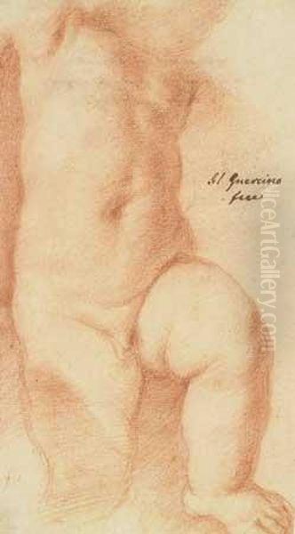 Etude De Putto Oil Painting by Giovanni Francesco Barbieri