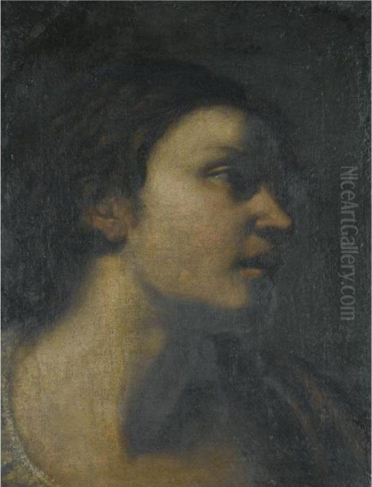A Study Of A Head Oil Painting by Giovanni Francesco Barbieri